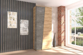 Аллегро-10 Шкаф двухдверный Диал в Ноябрьске - noyabrsk.mebel-tymen.ru | фото