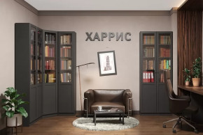 Библиотека Харрис в Ноябрьске - noyabrsk.mebel-tymen.ru | фото