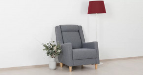 Дилан Кресло для отдыха арт. ТК 423 в Ноябрьске - noyabrsk.mebel-tymen.ru | фото