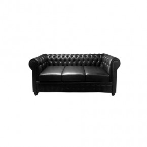 Диван прямой "CHESTER 3D" (ЧЕСТЕР 3D) в Ноябрьске - noyabrsk.mebel-tymen.ru | фото