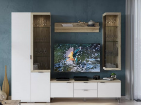 Гостиная Анима Композиция №1 в Ноябрьске - noyabrsk.mebel-tymen.ru | фото