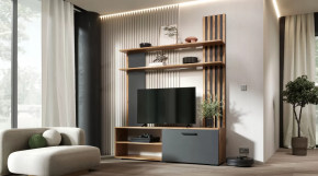 Гостиная Каролина Дуб Вотан/Графит в Ноябрьске - noyabrsk.mebel-tymen.ru | фото