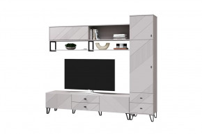 Гостиная Кашемир, набор №3, кашемир/сантьяго в Ноябрьске - noyabrsk.mebel-tymen.ru | фото