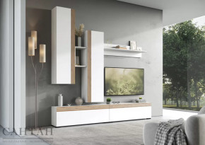 Гостиная НАО-Моно №1 в Ноябрьске - noyabrsk.mebel-tymen.ru | фото