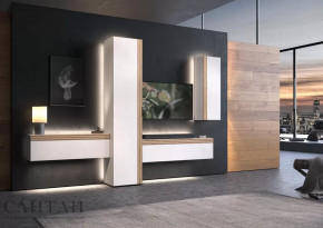 Гостиная НАО-Моно №7 в Ноябрьске - noyabrsk.mebel-tymen.ru | фото