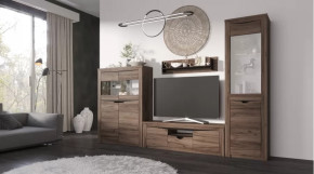 Гостиная Серия Регина дуб самдал в Ноябрьске - noyabrsk.mebel-tymen.ru | фото