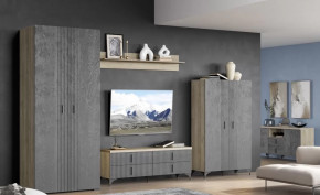 Гостиная Шер Композиция №13 в Ноябрьске - noyabrsk.mebel-tymen.ru | фото