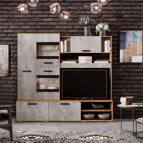 Гостиная Трамп ЦС-05 в Ноябрьске - noyabrsk.mebel-tymen.ru | фото