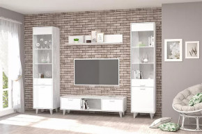 Гостиная Эго №ББ-3, на ножках Диал в Ноябрьске - noyabrsk.mebel-tymen.ru | фото