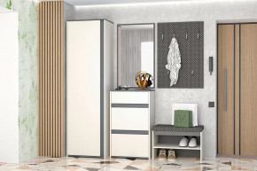 Иннэс-12  Прихожая №1 Диал в Ноябрьске - noyabrsk.mebel-tymen.ru | фото