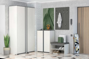 Иннэс-12 Прихожая №2 Диал в Ноябрьске - noyabrsk.mebel-tymen.ru | фото