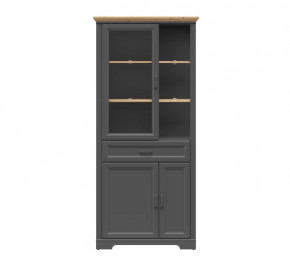 JASMIN шкаф REG1W2D1S (Графит/ Дуб артизан) в Ноябрьске - noyabrsk.mebel-tymen.ru | фото