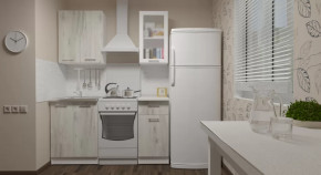 Кухонный гарнитур Алина мини 1000 мм в Ноябрьске - noyabrsk.mebel-tymen.ru | фото