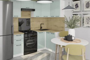 Кухонный гарнитур Лиора оптима 5 1200х2000 мм в Ноябрьске - noyabrsk.mebel-tymen.ru | фото