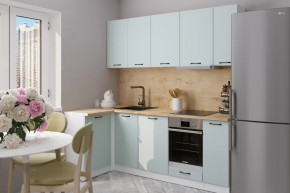 Кухонный гарнитур Лиора прайм 400 1100х2000 мм в Ноябрьске - noyabrsk.mebel-tymen.ru | фото