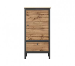 LOFT шкаф REG1D1S/60 (Дуб вотан/Черный) в Ноябрьске - noyabrsk.mebel-tymen.ru | фото