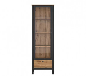 LOFT шкаф REG1W1S (Дуб вотан/Черный) в Ноябрьске - noyabrsk.mebel-tymen.ru | фото