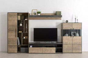 Модульная гостиная Трувор в Ноябрьске - noyabrsk.mebel-tymen.ru | фото