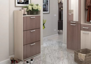 Обувница №2 Дели в Ноябрьске - noyabrsk.mebel-tymen.ru | фото