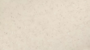 Панель пристенная 6х600х720 в Ноябрьске - noyabrsk.mebel-tymen.ru | фото