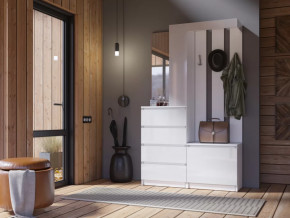 Прихожая Челси белый в Ноябрьске - noyabrsk.mebel-tymen.ru | фото