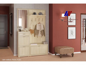 Прихожая Карина набор 2 в Ноябрьске - noyabrsk.mebel-tymen.ru | фото