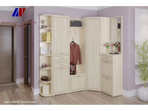 Прихожая Карина набор 5 в Ноябрьске - noyabrsk.mebel-tymen.ru | фото
