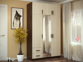 Шкаф 3-х створчатый с перегородкой венге/лоредо БТС в Ноябрьске - noyabrsk.mebel-tymen.ru | фото