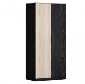 Шкаф двухстворчатый для одежды Дельта Лофт 13.02 в Ноябрьске - noyabrsk.mebel-tymen.ru | фото