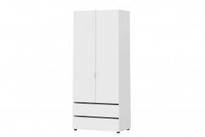 Шкаф двухстворчатый с двумя ящиками Токио в Ноябрьске - noyabrsk.mebel-tymen.ru | фото