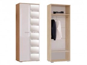 Шкаф Флай ШК-04 в Ноябрьске - noyabrsk.mebel-tymen.ru | фото