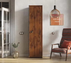 Шкаф JREG 1d Дуб саттер ИНДИАНА в Ноябрьске - noyabrsk.mebel-tymen.ru | фото