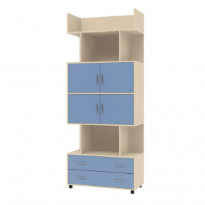 Шкаф комбинированный Дельта-5.03 в Ноябрьске - noyabrsk.mebel-tymen.ru | фото