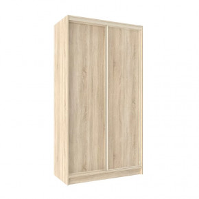 Шкаф-купе 1200 Домашний лдсп/лдсп в Ноябрьске - noyabrsk.mebel-tymen.ru | фото