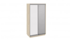 Шкаф-купе 2-х дверный «Румер» в Ноябрьске - noyabrsk.mebel-tymen.ru | фото