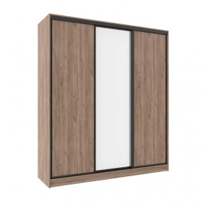 Шкаф-купе 2000 Домашний (зеркало/лдсп) в Ноябрьске - noyabrsk.mebel-tymen.ru | фото