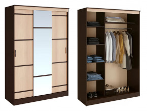 Шкаф-купе Сакура в Ноябрьске - noyabrsk.mebel-tymen.ru | фото