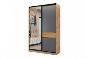 Шкаф-купе SLIM двухдверный BS15-6.ZD в Ноябрьске - noyabrsk.mebel-tymen.ru | фото