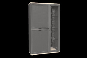 Шкаф многоцелевой ШК-1082 Карина в Ноябрьске - noyabrsk.mebel-tymen.ru | фото