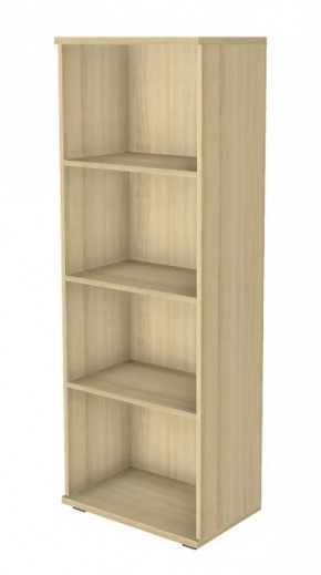 Шкаф многоцелевой ШК-1088 Карина в Ноябрьске - noyabrsk.mebel-tymen.ru | фото