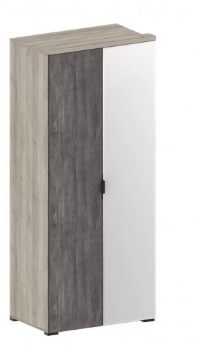 Шкаф Шаде ШК-2903 в Ноябрьске - noyabrsk.mebel-tymen.ru | фото