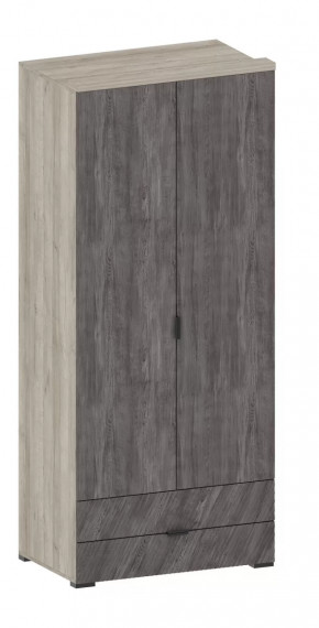 Шкаф Шаде ШК-2905 в Ноябрьске - noyabrsk.mebel-tymen.ru | фото