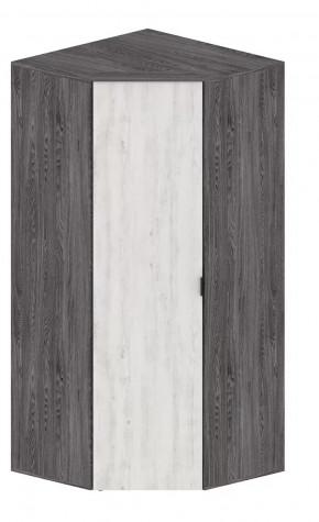 Шкаф Шаде ШК-2910 в Ноябрьске - noyabrsk.mebel-tymen.ru | фото