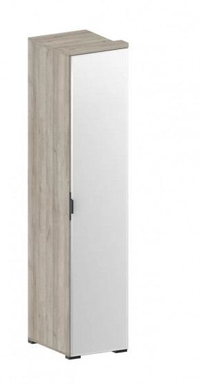 Шкаф Шаде ШК-2912 в Ноябрьске - noyabrsk.mebel-tymen.ru | фото