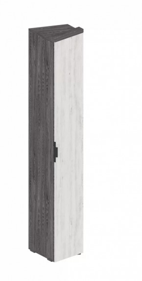 Шкаф Шаде ШК-2931 в Ноябрьске - noyabrsk.mebel-tymen.ru | фото