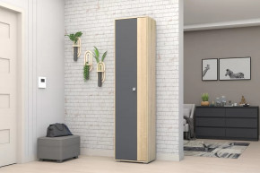 Шкаф ШК-01 Монако в Ноябрьске - noyabrsk.mebel-tymen.ru | фото