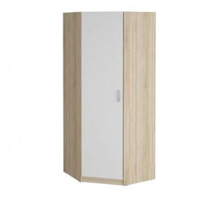 Шкаф угловой "Салоу" 900 в Ноябрьске - noyabrsk.mebel-tymen.ru | фото