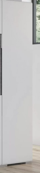 Шкаф Уна Лофт ШК-2807 в Ноябрьске - noyabrsk.mebel-tymen.ru | фото