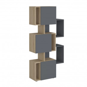 Стеллаж Дублин в Ноябрьске - noyabrsk.mebel-tymen.ru | фото