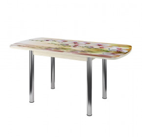 Стол Бостон-3 раздвижной, фотопечать Орхидея на воде/венге/хром брифинг в Ноябрьске - noyabrsk.mebel-tymen.ru | фото